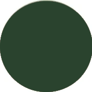 Affordable Dark Green Formal Dresses UK